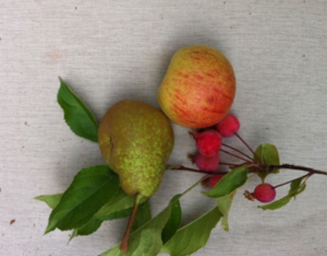 Garden Bounty